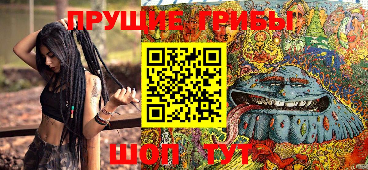 Кинель  наркотики  Вход с VPN  Галлюциногенные грибы MAGIC MUSHROOMS 